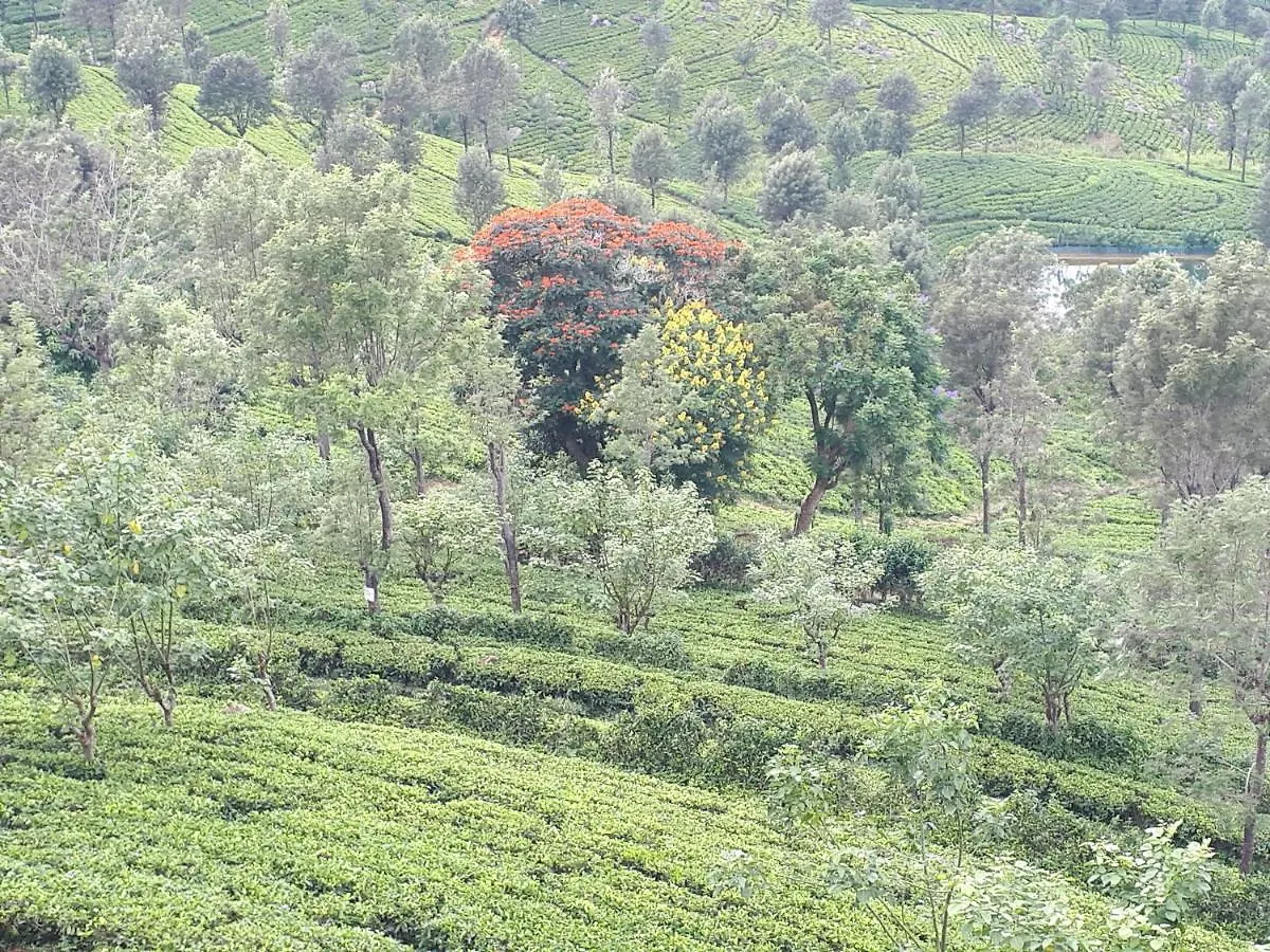 Ferienwohnung Woods Hut Nuwara Eliya Sri Lanka