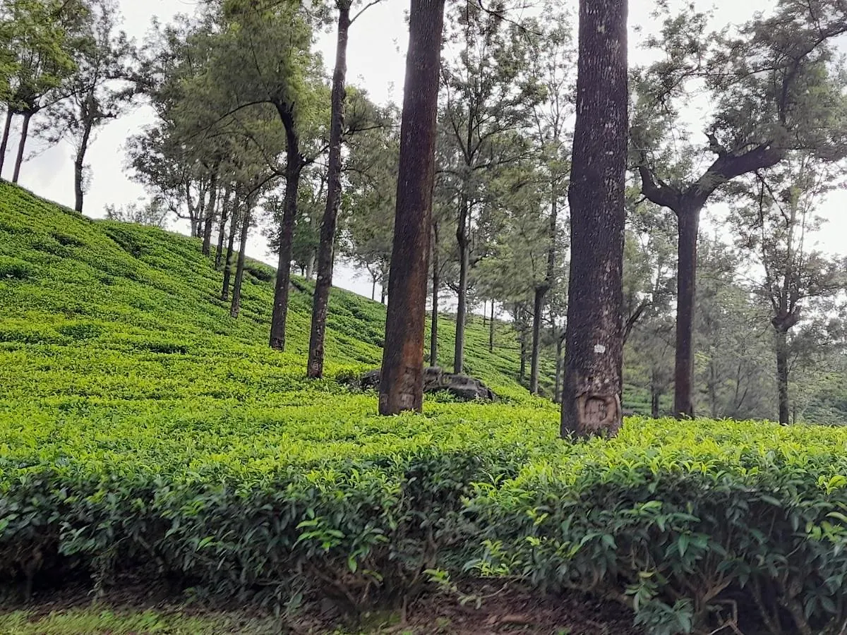 Ferienwohnung Woods Hut Nuwara Eliya Sri Lanka