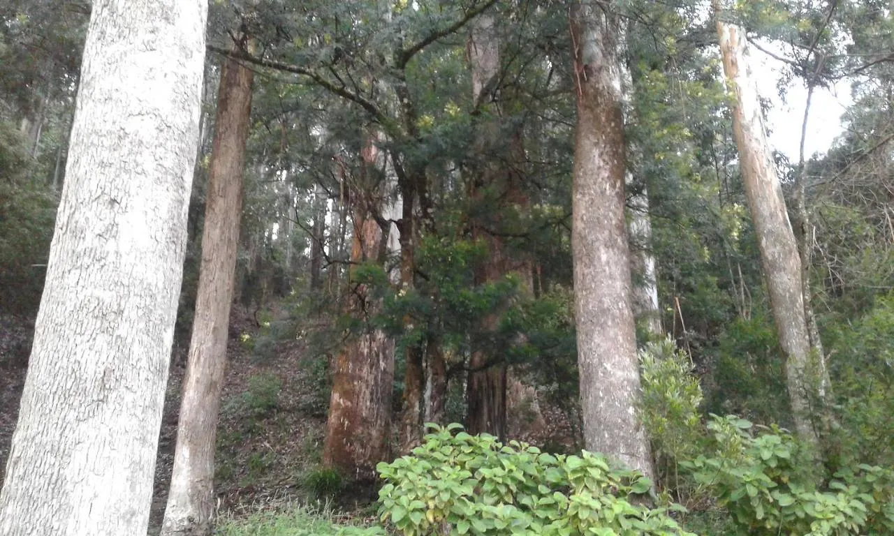 Ferienwohnung Woods Hut Nuwara Eliya Privatunterkunft